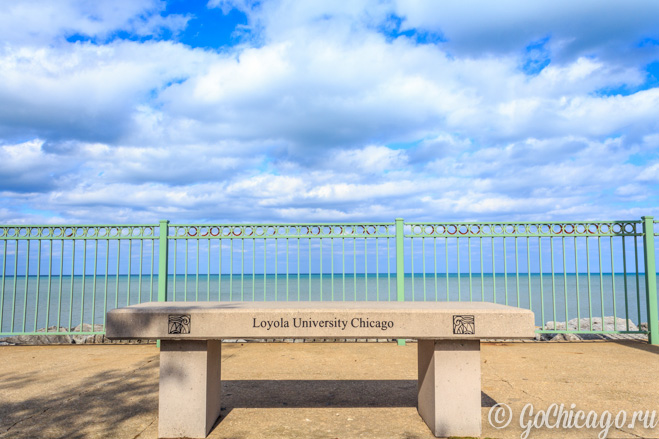 Loyola University / Университет Лойола в Чикаго