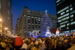 Чикаго ищет новогоднюю ель для 100й годовщины