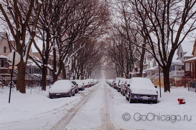 Снег в Чикаго 2 января 2014 года. Фотографии